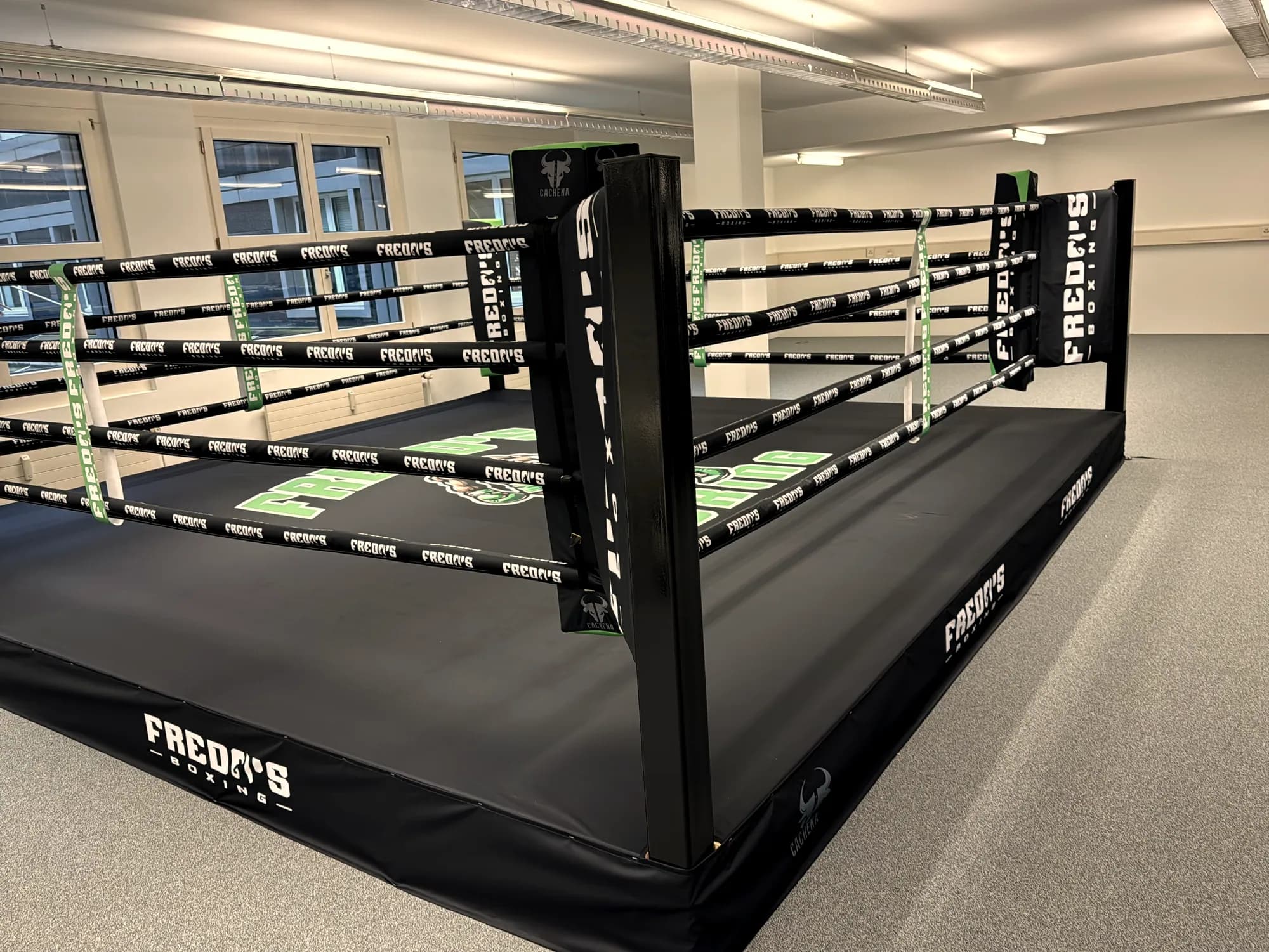 Boxring nach Maß mit bedruckter Ringplane und Eckpolstern